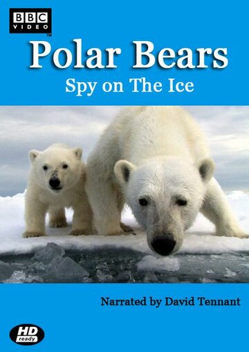 Белый медведь: Шпион во льдах || Polar Bears: Spy on the Ice (2011)