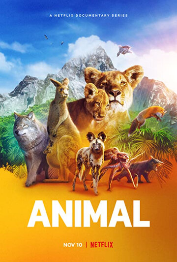 Удивительные животные || Animal (2021)