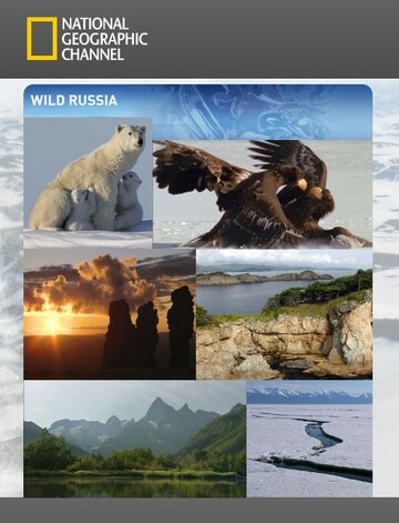 Дика природа Росії Wildes Russland (2008)