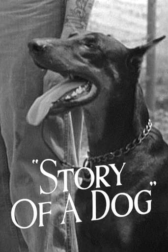 История собаки (1945)