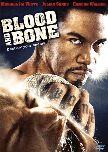 Кровь и кость || Blood and Bone (2009)
