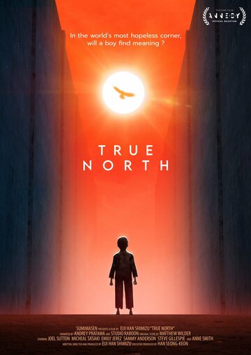 Справжня Північна Корея True North (2020)