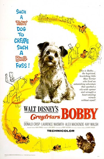 Бобби из Грейфраерса: Правдивая история || Greyfriars Bobby: The True Story of a Dog (1961)