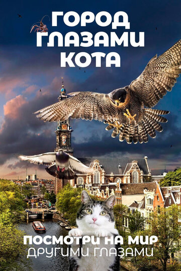 Місто очима кота (2018)