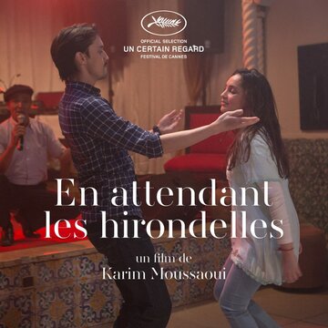 Когда вернутся птицы || En attendant les hirondelles (2017)