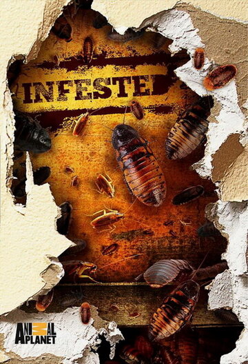 Вторжение паразитов || Infested! (2011)