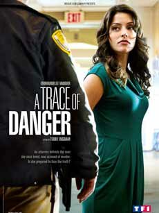 Следы опасности || A Trace of Danger (2010)