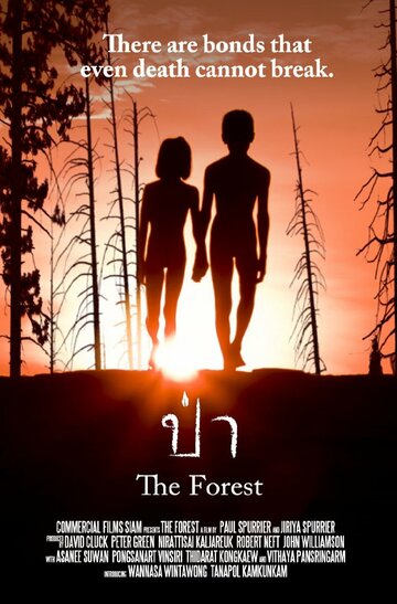 Лес || The Forest (2016)