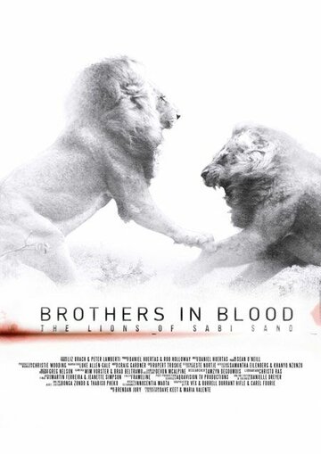 Прирожденные короли || Brothers in Blood: The Lions of Sabi Sand (2015)