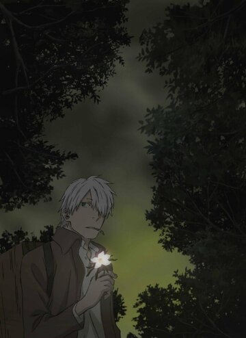 Мастер Муси: Тень, пожирающая солнце || Mushishi Tokubetsu-hen: Hihamukage (2014)