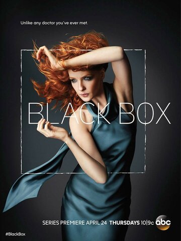 Чёрный ящик || Black Box (2014)