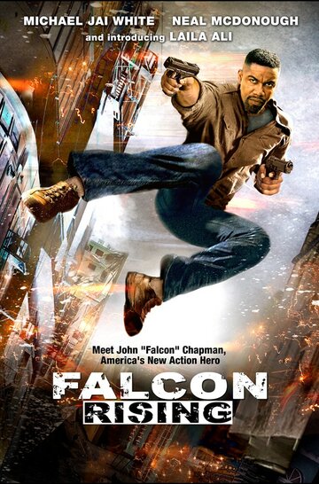 Восхождение Сокола || Falcon Rising (2014)