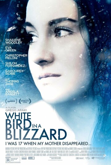 Белая птица в метели || White Bird in a Blizzard (2014)