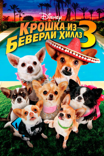 Крошка из Беверли-Хиллз 3 || Beverly Hills Chihuahua 3: Viva La Fiesta! (2012)