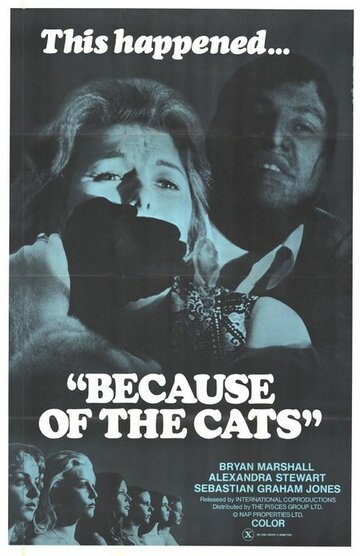 Из-за кошек || Because of the Cats (1973)
