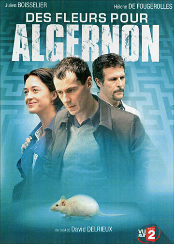 Цветы для Элджернона || Des fleurs pour Algernon (2006)