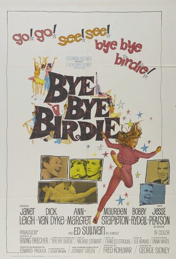 Пока, пташка || Bye Bye Birdie (1963)