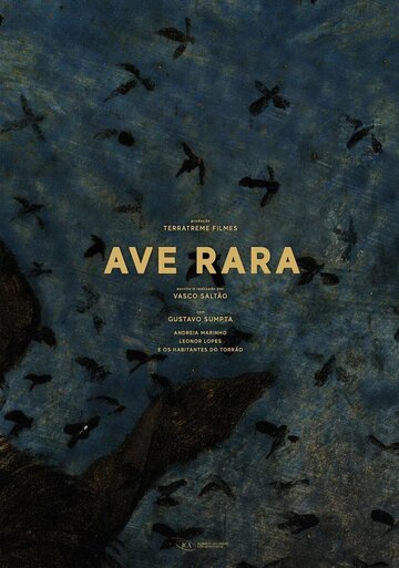 Редкая птица || Ave Rara (2019)