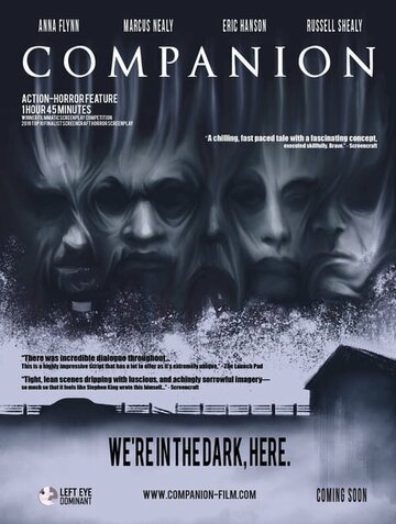Попутчики || Companion (2021)