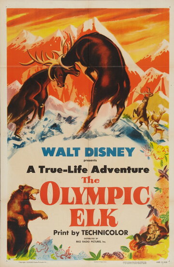 The Olympic Elk (1952)