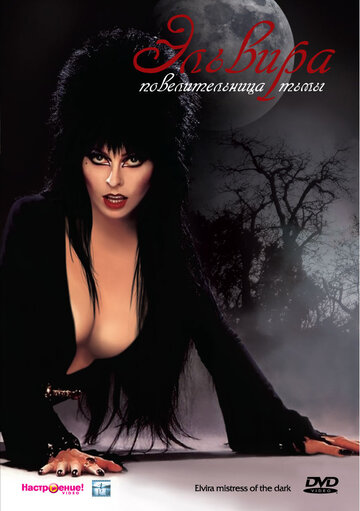 Эльвира: Повелительница тьмы || Elvira: Mistress of the Dark (1988)