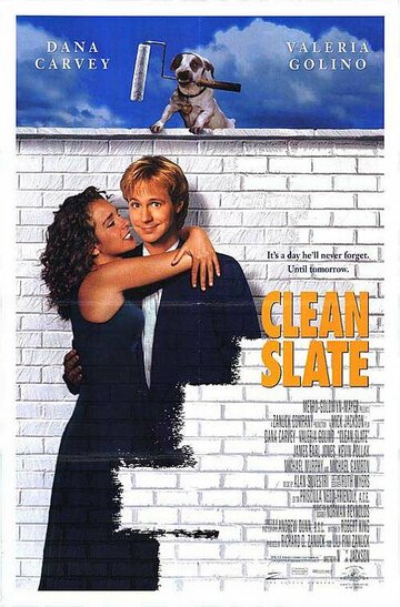 Стерлось из памяти || Clean Slate (1994)