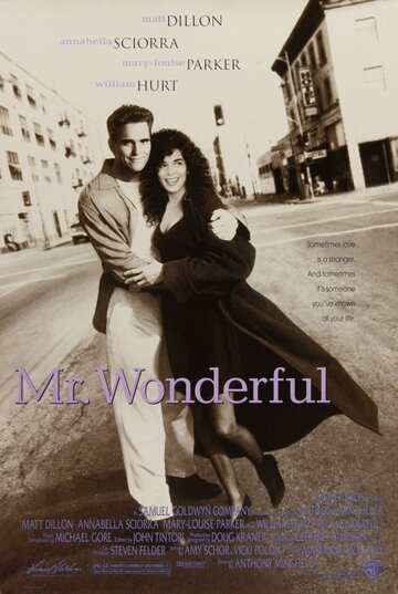 Мистер Прекрасный || Mr. Wonderful (1993)