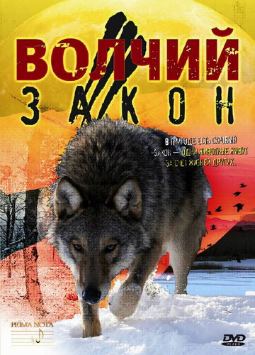 Волчий закон (2008)