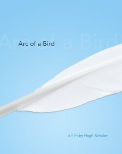 Arc of a Bird