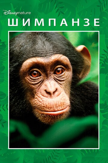 Шимпанзе || Chimpanzee (2012)