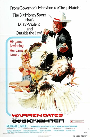 Бойцовский петух || Cockfighter (1974)