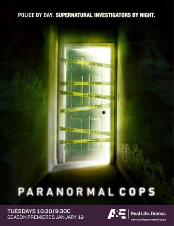 Паранормальные копы || Paranormal Cops (2009)