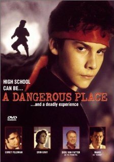 Не сдавайся || A Dangerous Place (1994)