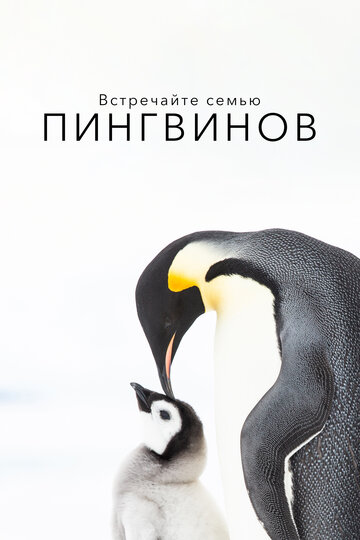 Встречайте семью пингвинов || Penguins: Meet the Family (2020)