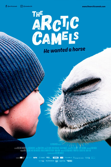 Мой друг северный верблюд || The Arctic Camels (2019)