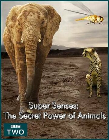 Унікальні здібності тварин Super Senses: The Secret Power of Animals (2014)