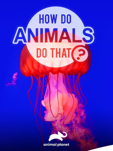 Удивительный мир животных || How do Animals do That (2019)