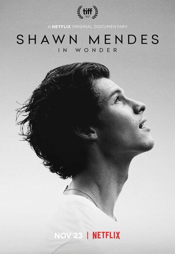 Шон Мендес: In Wonder || Shawn Mendes: In Wonder (2020)