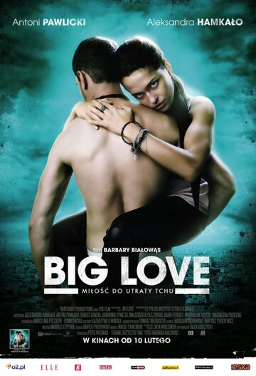 Большая любовь || Big Love (2012)