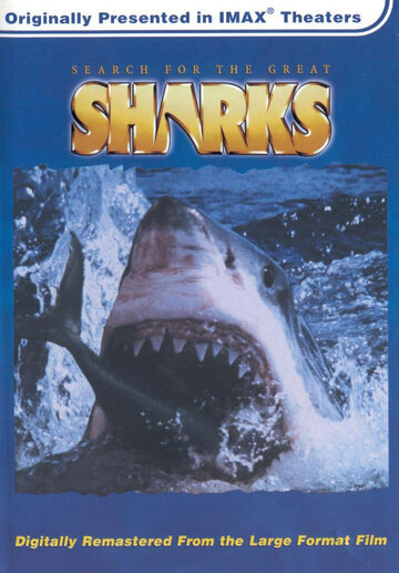 В поисках больших акул || Search for the Great Sharks (1995)