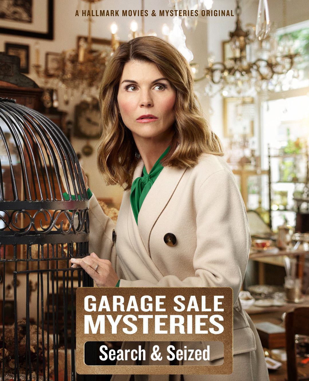Тайна гаражной распродажи: Обыск и арест || Garage Sale Mysteries: Searched & Seized (2019)