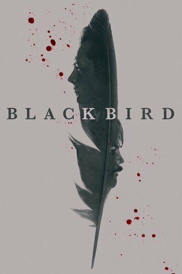 Чёрная птица || Black Bird (2022)