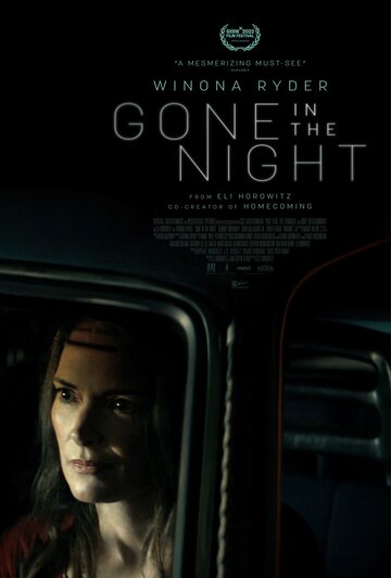Пропавшие в ночи || Gone in the Night (2022)