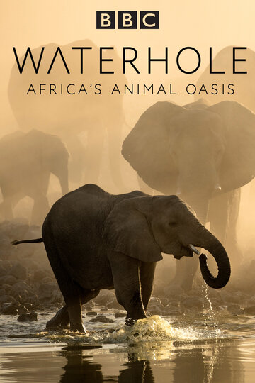 Водопой: Африканский Оазис для Животных || Waterhole: Africa's Animal Oasis (2020)