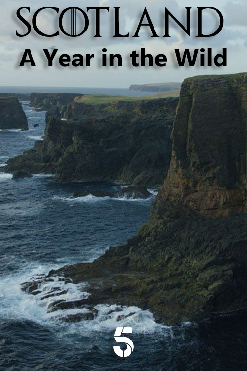 Шотландия: Дикий год || Scotland: A Wild Year (2021)