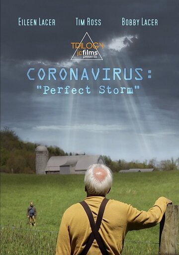 Коронавирус: Идеальный шторм || Coronavirus: Perfect Storm (2020)