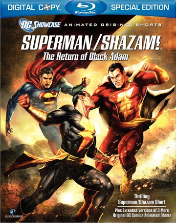 Витрина DC: Супермен/Шазам! – Возвращение черного Адама || Superman/Shazam!: The Return of Black Adam (2010)