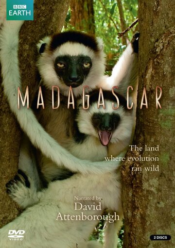 BBC: Мадагаскар || Madagascar (2011)