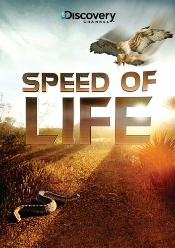 Discovery: Скорость жизни || Speed of Life (2010)