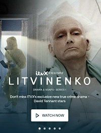 Литвиненко || Litvinenko (2022)
